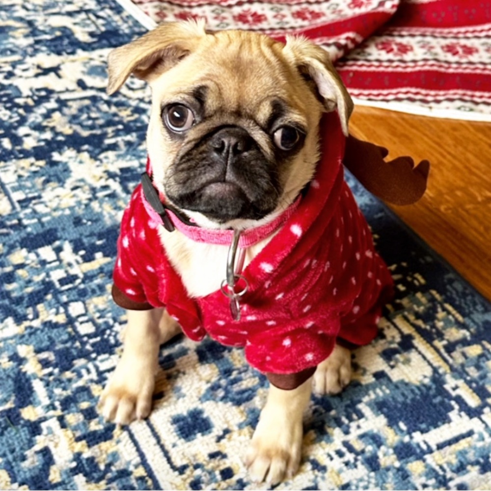 Cozy Dog Reindeer Pajamas - XS
